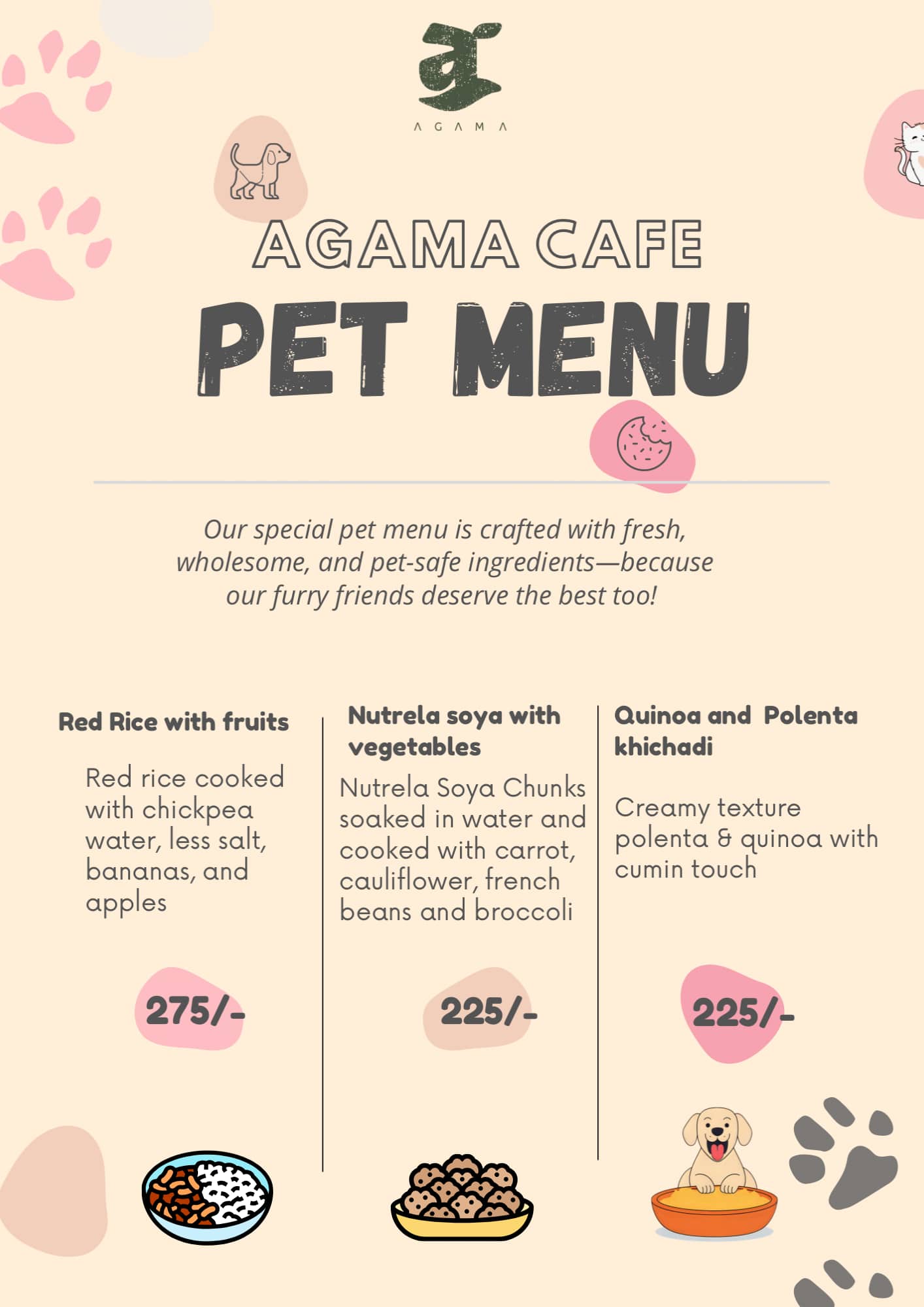 Agama pet menu — photo 1