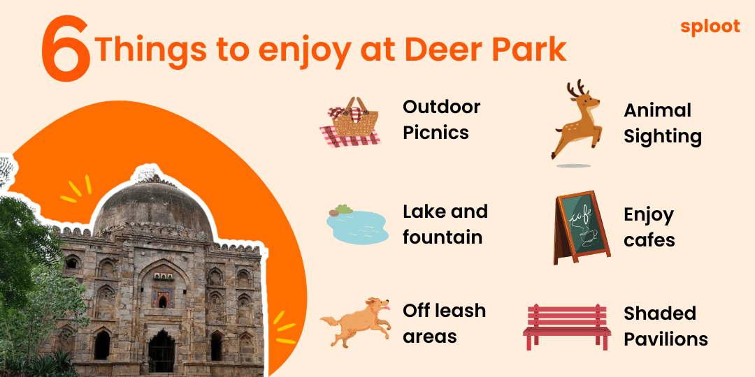 Deer Park — photo 3