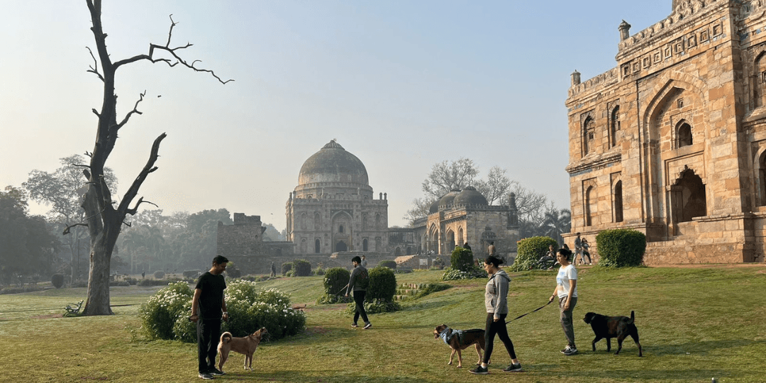 Lodhi Garden — photo 5